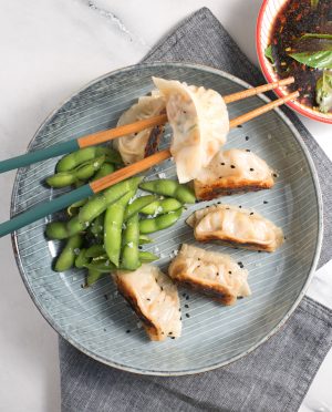 japanese gyoza potstickers dumplings